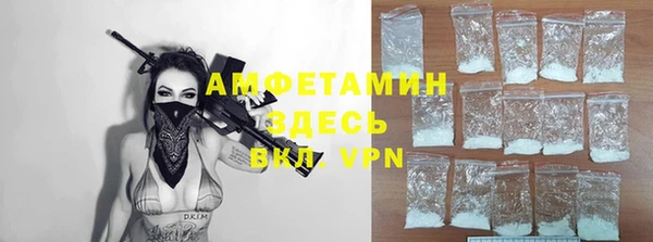 шишки Богородицк
