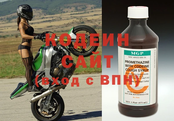 шишки Богородицк
