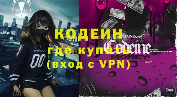 шишки Богородицк