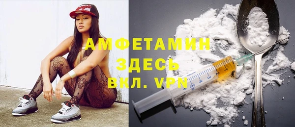 шишки Богородицк