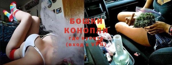 шишки Богородицк