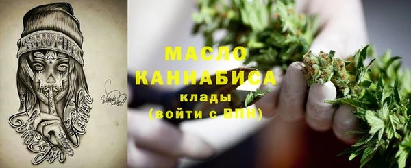 шишки Богородицк