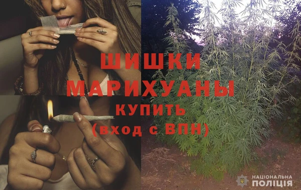 шишки Богородицк