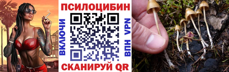 кракен ONION  купить   Надым  Псилоцибиновые грибы мицелий 